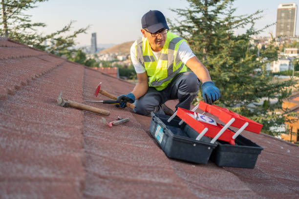 Best Historical Building Siding Restoration  in Vista Center, NJ